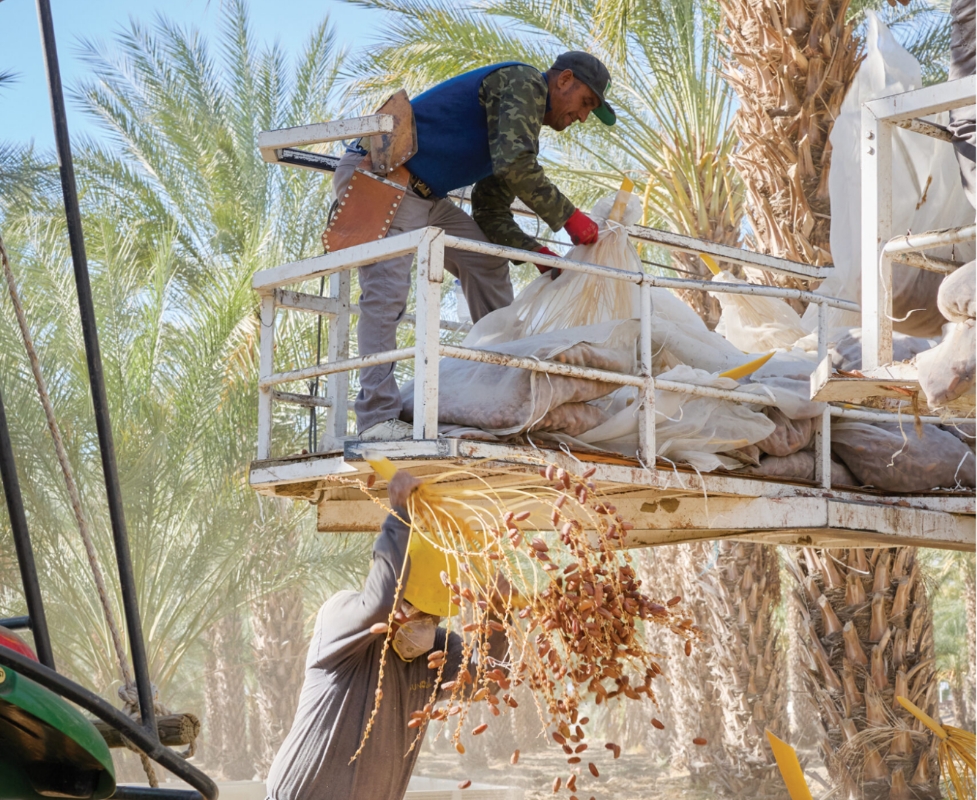 工場・加工について