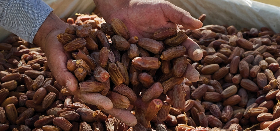 Hadley Date Gardens社